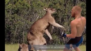 Конор Макгрегор прикол