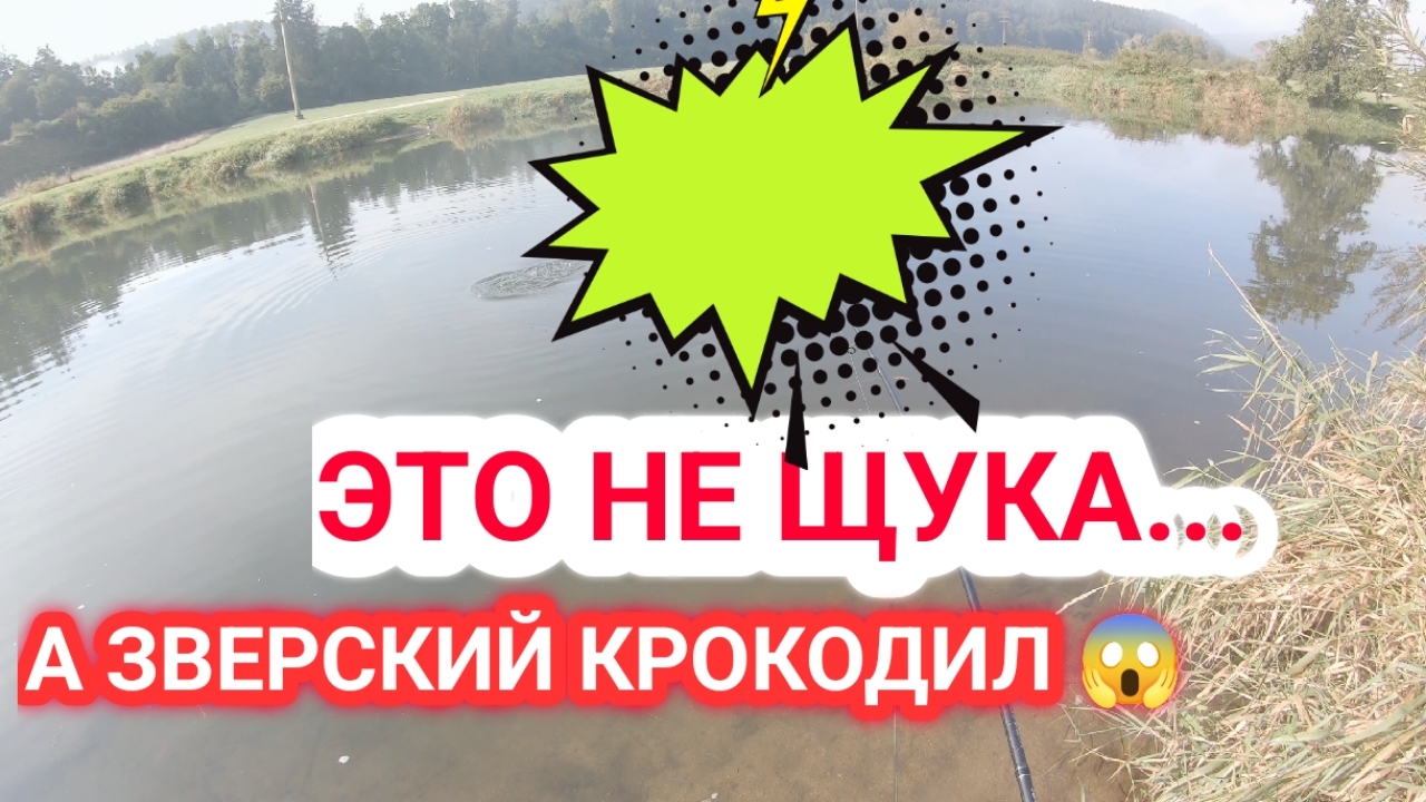 Зверская поклёвка щуки осенью на лучшый воблер! Бедный фрикцион от огромной щуки 😱 смотреть онлайн