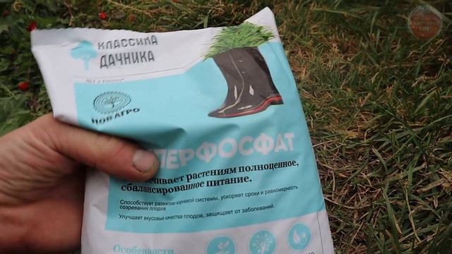 Подготовьте так грядку за 1-3 недели до посадки озимого чеснока. 2 секрета для большого урожая. смотреть онлайн