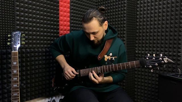 Fingerstyle Guitar - Tuck Andress - Н.Болдырев | Евгений Гущин
