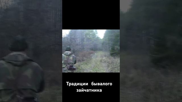 Начало охоты на зайчика! смотреть онлайн
