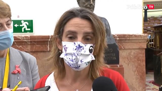 Teresa Ribera explica cómo el Gobierno está trabajando el decreto de la luz смотреть онлайн