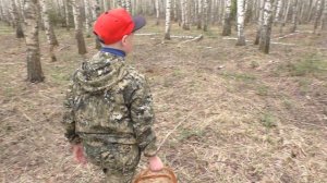 СЕМЕЙНЫЙ ПОХОД В ЛЕС ЗА ГРИБАМИ! ВЕСЕННИЕ ГРИБЫ РАДУЮТ!