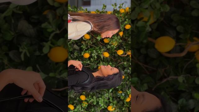 Настроение, когда встретились с подругой 🖤