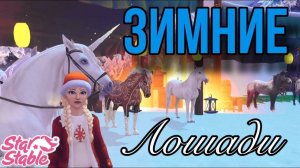 ПОКУПАЕМ ВСЕХ ЗИМНИХ ЛОШАДЕЙ! II Star Stable Online