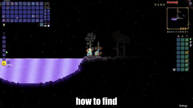 Terarria How To Get Feast of Midas | Terraria Feast of Midas 1.4.4.9 смотреть онлайн