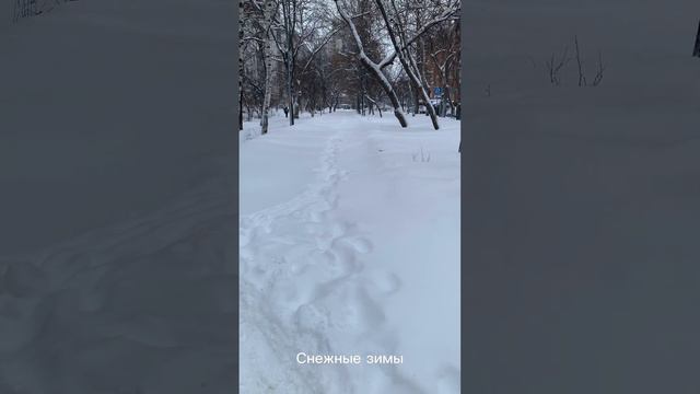 Чудеса из снега!!! смотреть онлайн