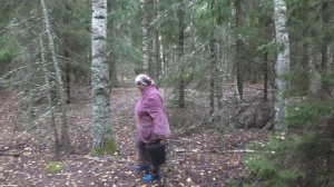 ВЫЖИВШИЙ 2 Survivor 2 Выживший в лесу! ЗМЕЯ, ВОЛК...