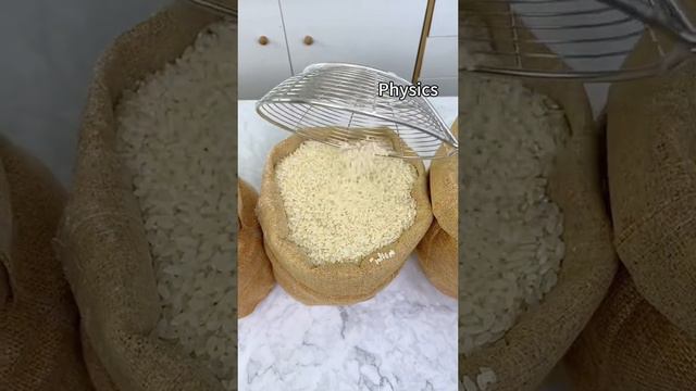 Уроки физики от котика смотреть онлайн