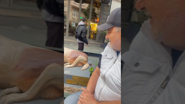 МОЙ СТАМБУЛ. ЛЮБИМЫЙ ПЁС смотреть онлайн