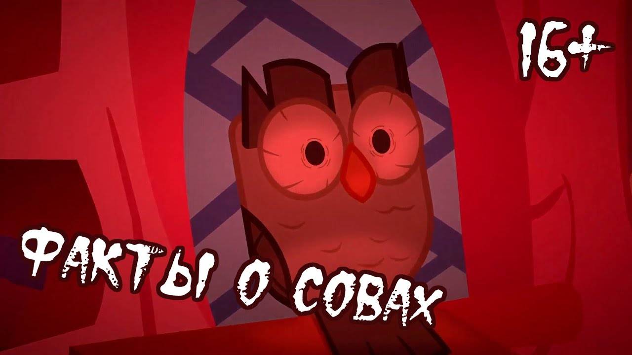 Факты о совах (rus Dub) [Anthology V]