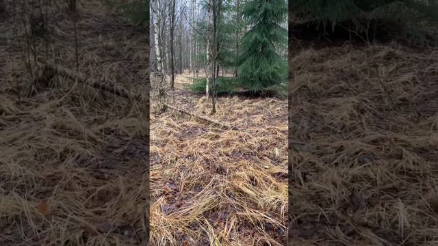 Охота на зайца. Азарт. 2 год смотреть онлайн