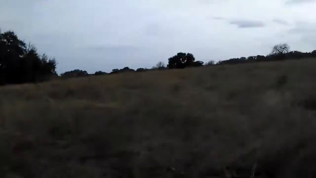 Airsoft milsim sniper team смотреть онлайн