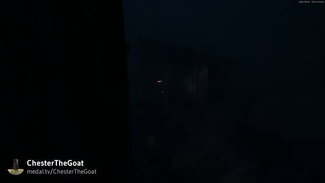 labyrinthine mosquito смотреть онлайн