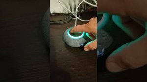 голосовой помощник Маруся колонка капсула мини ( самая умная колонка в 2024 году)