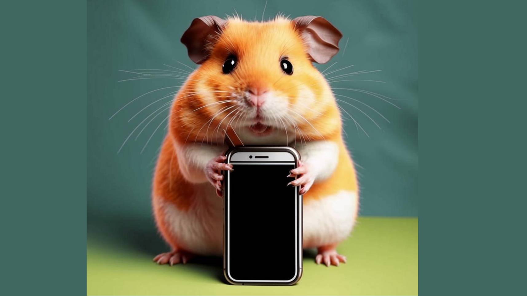 Хамстер комбат