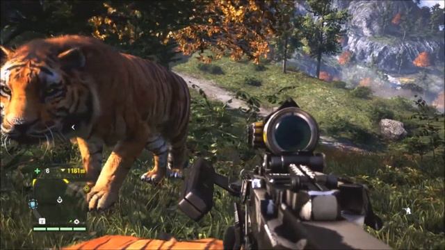 Far Cry 4 Tiger of Immortality Bug смотреть онлайн