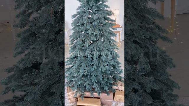 Ель Литая Венгерская Голубая смотреть онлайн