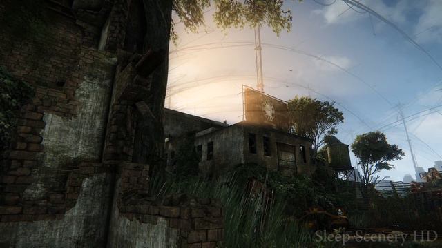 New York City Overgrown • Crysis 3 Relax (ASMR) • Sleep Relaxation & Ambient Sounds смотреть онлайн