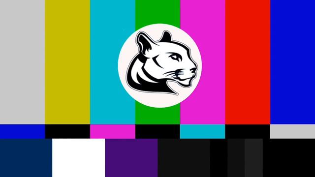 CMS News Broadcast Live Stream смотреть онлайн