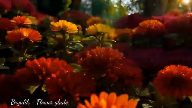 Bryulik - Flower Glade