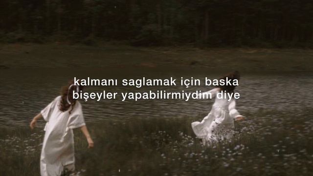 The Cardigans - Lovefool (Türkçe Çeviri)