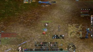 EuroAion 4.6 Pvp Bard