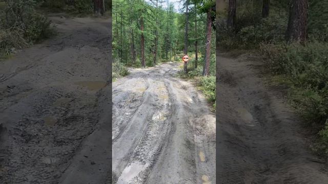Заброс на Актру смотреть онлайн