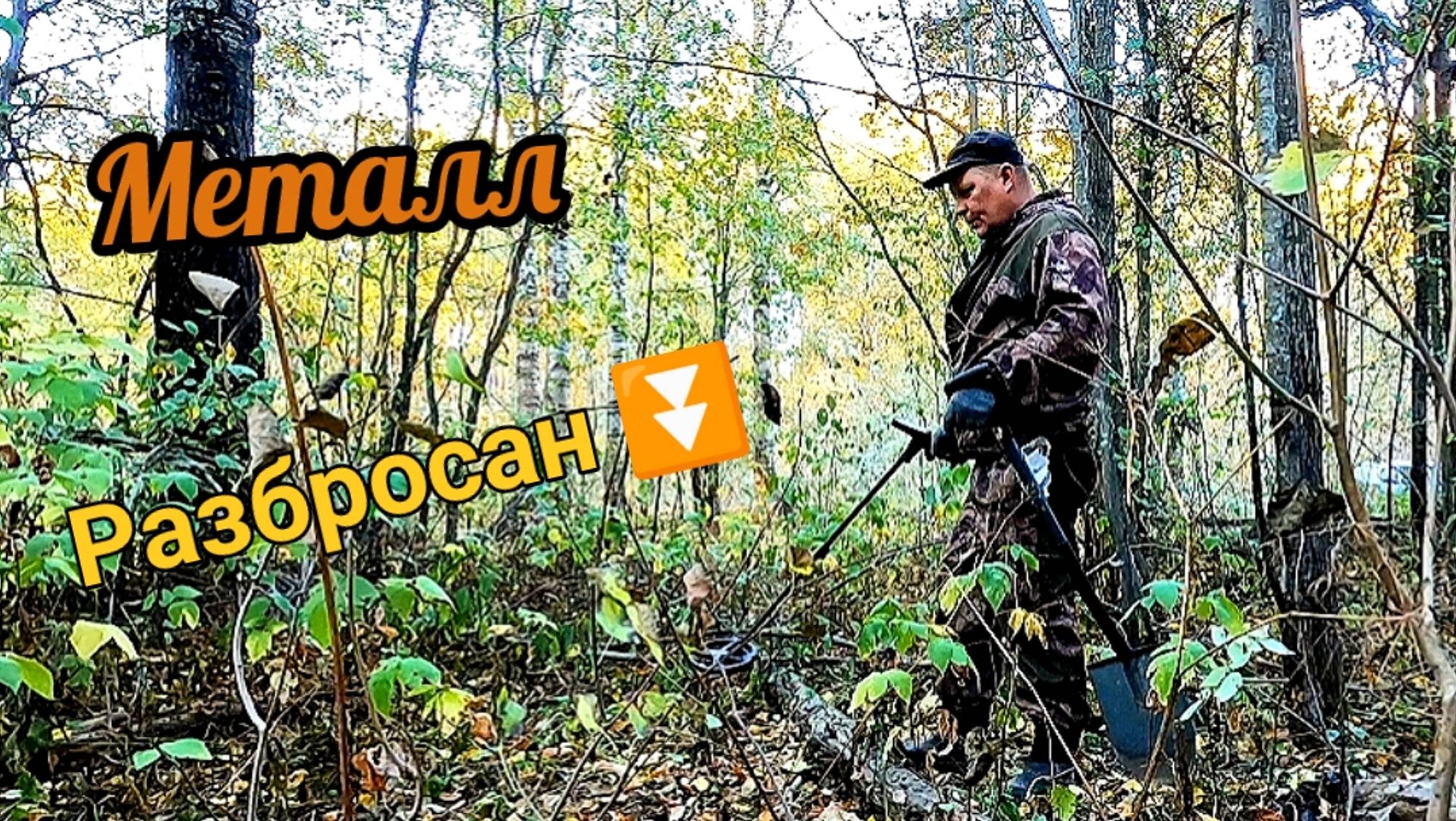 Это не коп! Это не металл! Зачищаю лес от мусора! смотреть онлайн