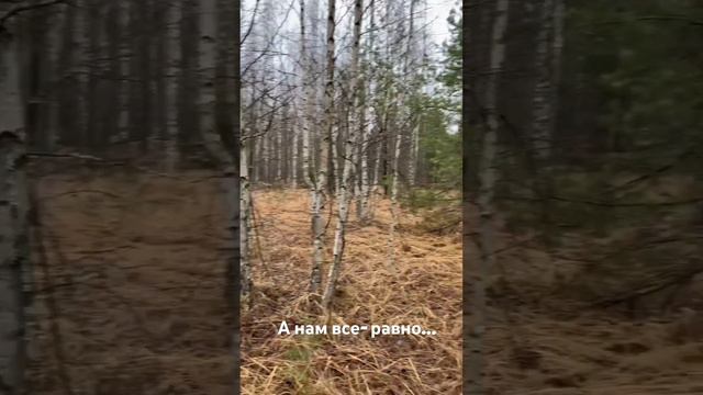 Про Зайцев!!! смотреть онлайн