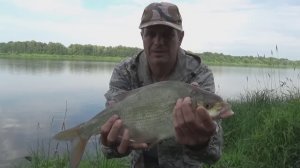 Ловля ЛЕЩА на Короткие поводки! Рыбалка на Донки! #Прикормка #поводокИзПлетенки