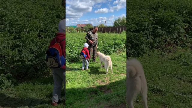 Натаска лайки по утке смотреть онлайн