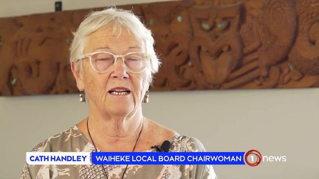 Housing crisis on Waiheke Island leaves workers camping at local parks смотреть онлайн