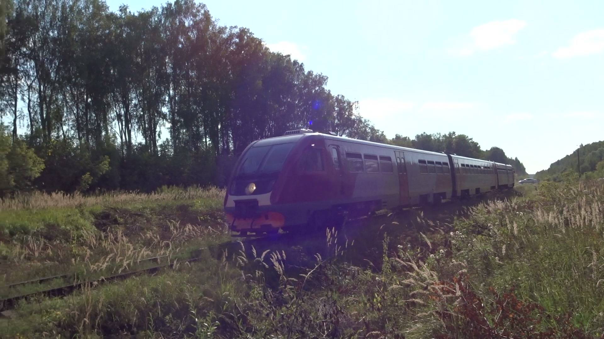 Рельсовый автобус РА2-043 следует по перегону Ворсма - Кожевенное смотреть онлайн