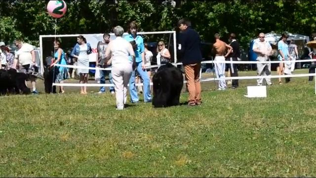 Блек Росси Эпатаж смотреть онлайн