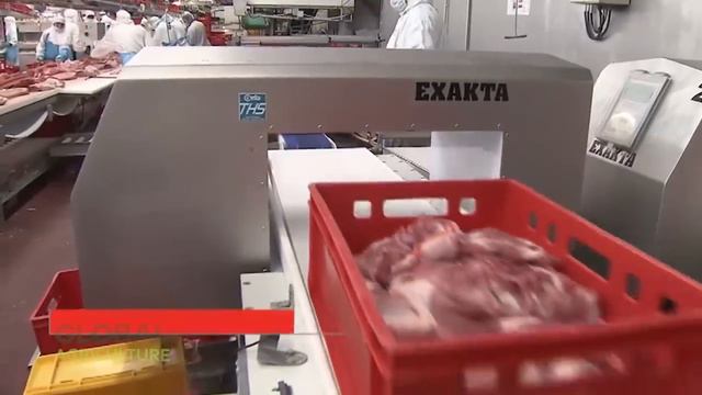 Pig Raising & Transport Method - Pork Slaughter & Cutting Line - Sausage Processing Technology смотреть онлайн