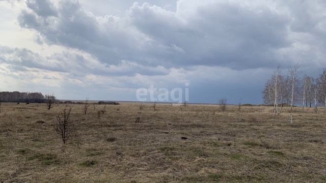 9252429 смотреть онлайн
