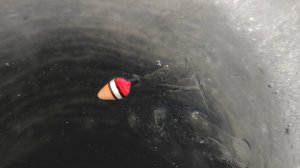 ЖОР ПЛОТВЫ НЕ ДАЕТ ОПУСТИТЬ - ЗИМНЯЯ РЫБАЛКА НА ПОПЛАВОК, КИВОК