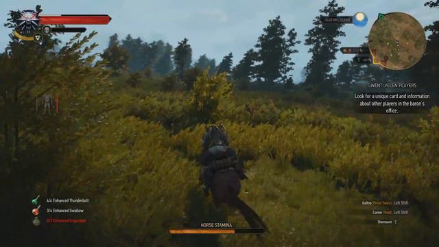 The Witcher 3 - Wild Hunt смотреть онлайн