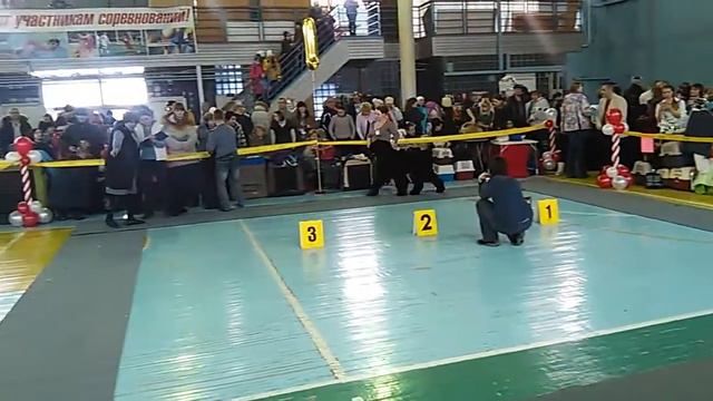 VID 20160116 142351 смотреть онлайн