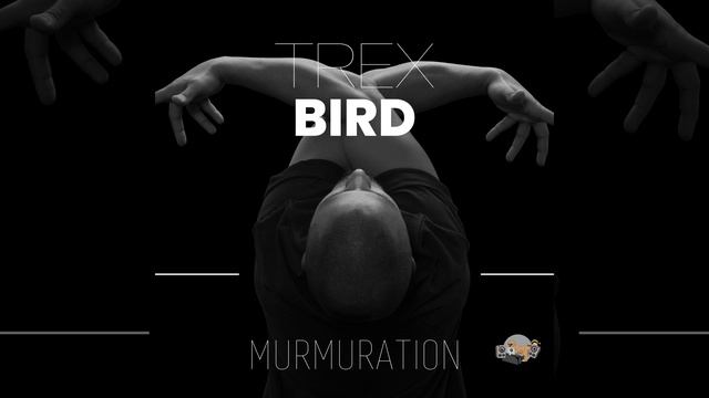 BIRD (Short Version)