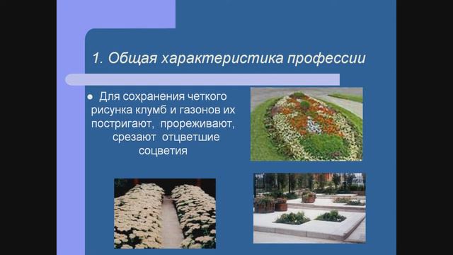 sad смотреть онлайн