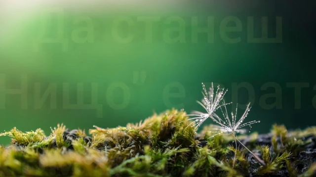 НЕ ТЪРСИ! ТОВА Е, КОЕТО Е !- Ошо смотреть онлайн