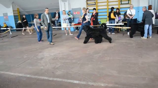 DSC 1222 смотреть онлайн