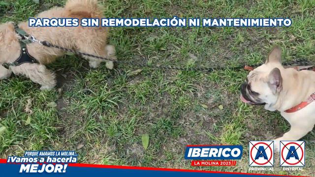 Luis Iberico #ASIQUIEROMIPARQUE смотреть онлайн