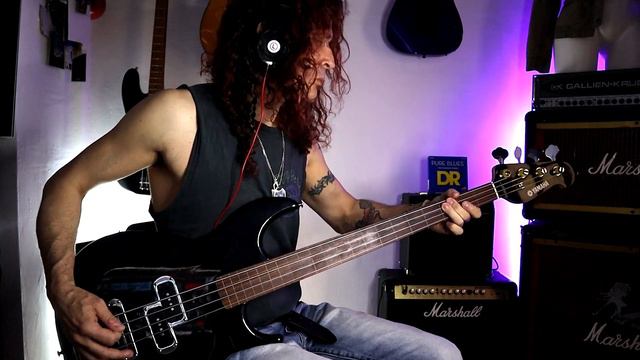 Sure know something (KISS Unplugged) on Fretless Bass смотреть онлайн