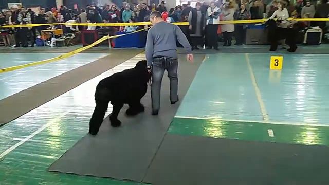 VID 20160116 142147 смотреть онлайн