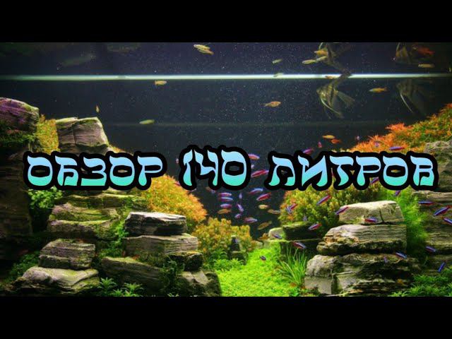 ОБЗОР АКВАРИУМА НА 140 ЛИТРОВ смотреть онлайн