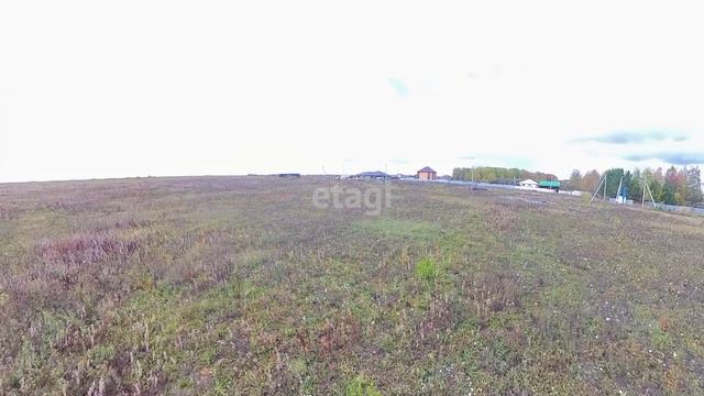 2487257 смотреть онлайн