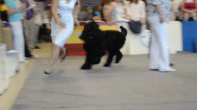 DSC 0134 смотреть онлайн